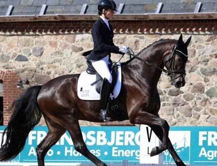 Kjeldgårdens Django