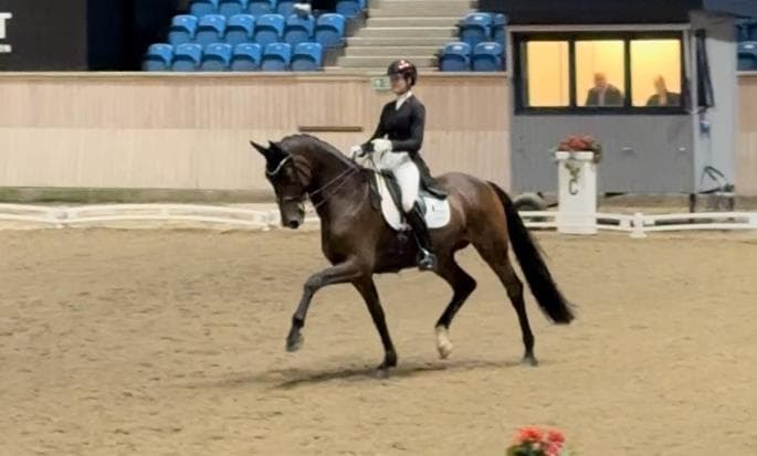 Skovdals Dexter vinder PSG