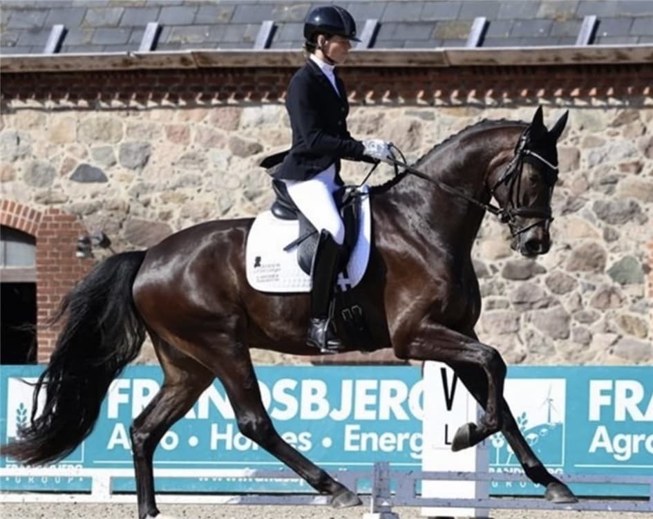 Django nr 2 med 870 point