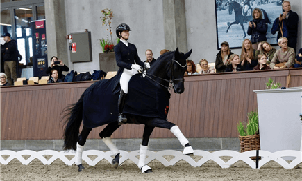 SK Farnello solgt til Cathrine Laudrup-Dufour