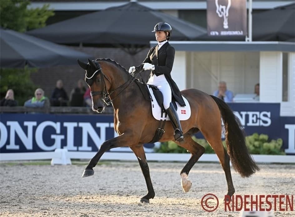 Finaleklar med 5 heste