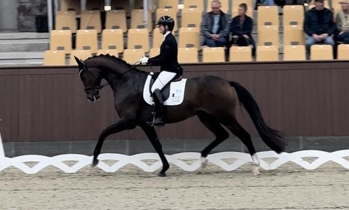 Jack Daniel's ABN - Championatsfinaler på Blue Hors