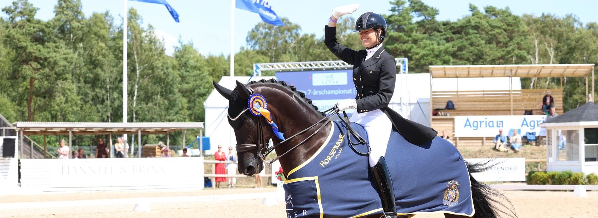 Barnow Dressage — professionel dressur i Danmark