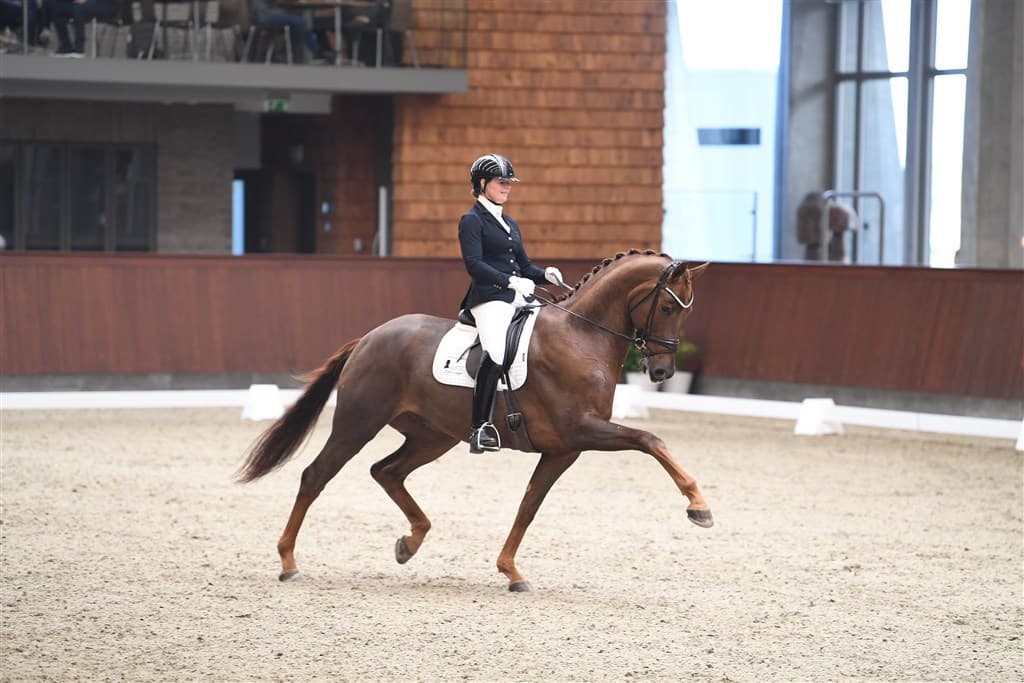 Susanne Barnow — professionel dressurtræner